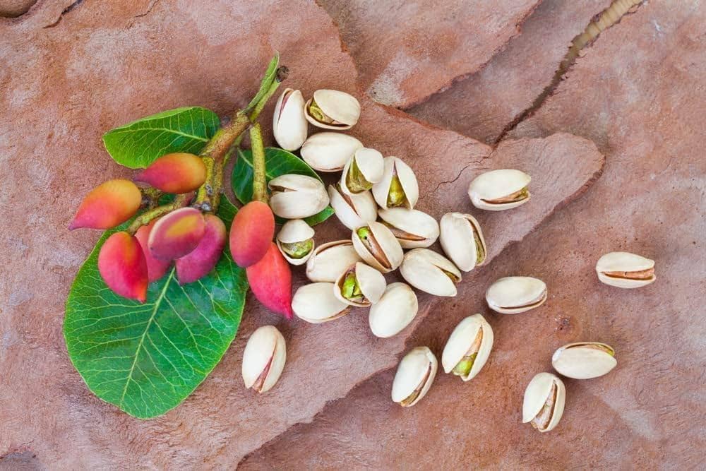 سرنوشت تلخ فرش ایران در انتظار صنعت پسته