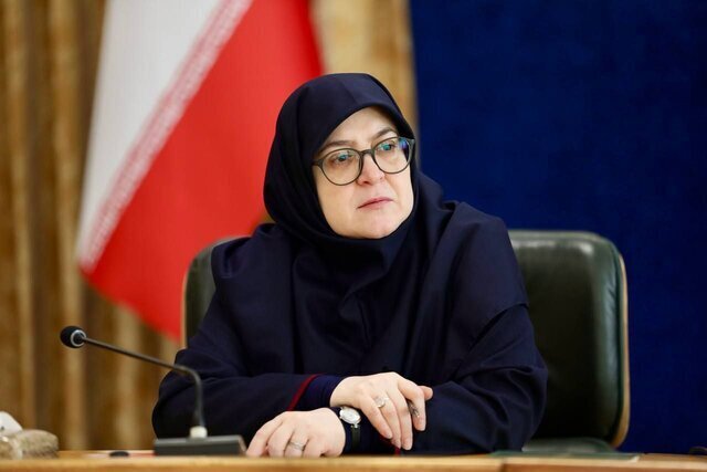 مهاجرانی: دولت به دنبال گران کردن بنزین نیست