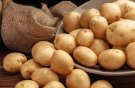 قیمت سیب‌زمینی به یک‌سال قبل برنمی‌گردد