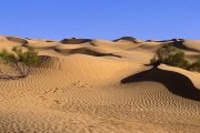 زنگ خطر امنیت غذایی کشور به دلیل تغییر اقلیم
