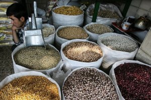 قیمت لوبیا چیتی؛ اولین شوک بازار در سال ۱۴۰۴