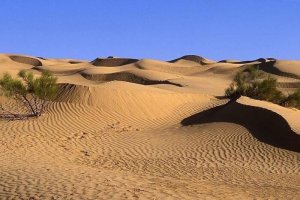 زنگ خطر امنیت غذایی کشور به دلیل تغییر اقلیم