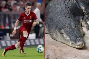 اقدام عجیب پرسپولیسی‌ها برای تمساح محبوب مهاجم خارجی