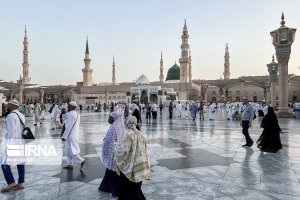 به بهانه میلاد باسعادت کریم اهل بیت (ع)؛ لبیک‌های امام حسن (ع) 