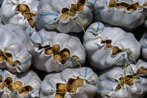 سیب‌زمینی تا هفته بعد ارزان می‌شود