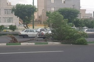 سرعت طوفان تهران به ۱۰۸ کیلومتر بر ساعت رسید 