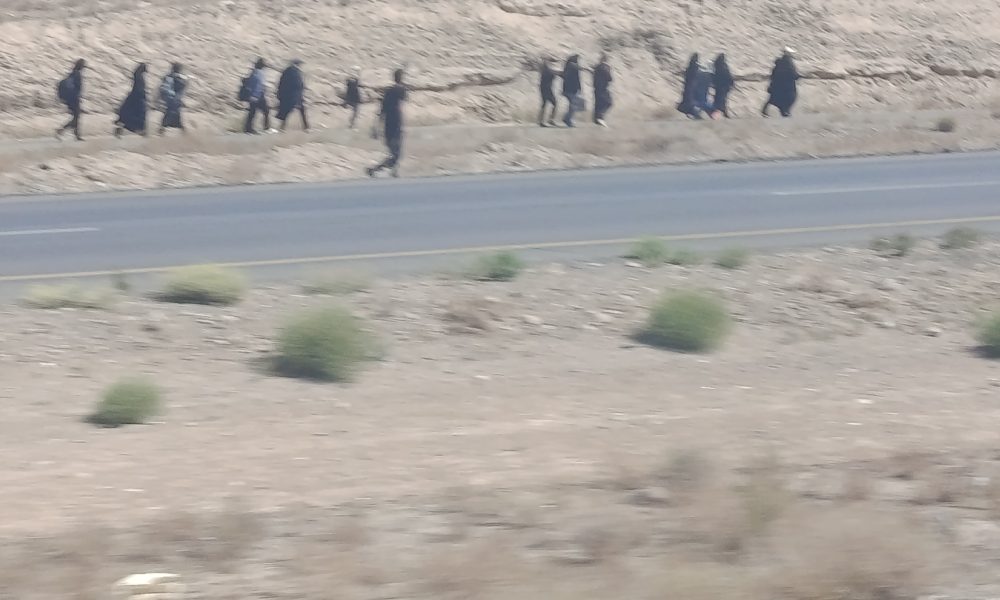 گزارش تصویری پیادهروی زائران از نیشابور تا حرم مطهر رضوی