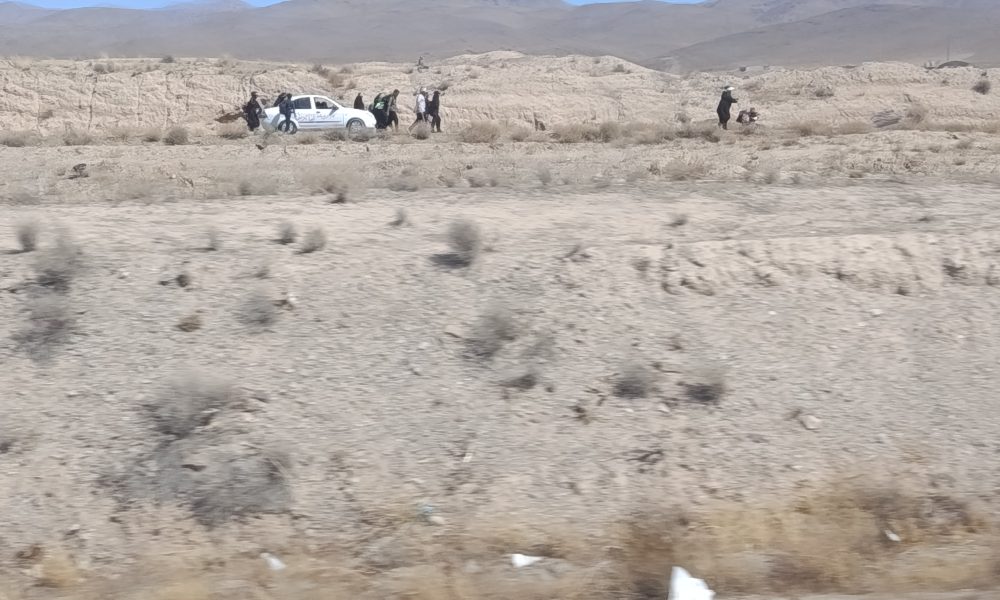 گزارش تصویری پیادهروی زائران از نیشابور تا حرم مطهر رضوی