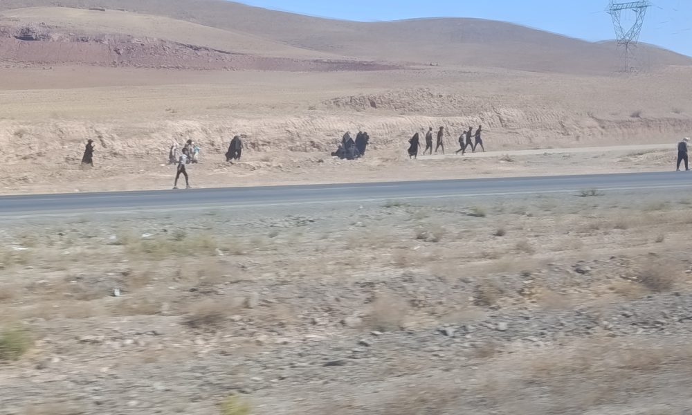 گزارش تصویری پیادهروی زائران از نیشابور تا حرم مطهر رضوی